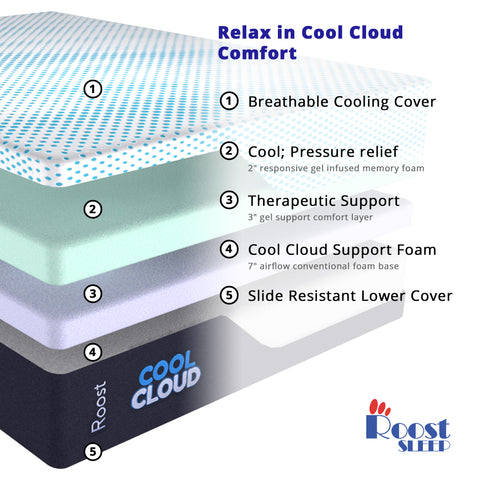 Cool Cloud Premier
