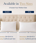 queen pillow 28x20 king pillow 34x20 set of 2 per box dimensions