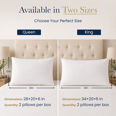 queen pillow 28x20 king pillow 34x20 set of 2 per box dimensions